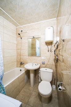 Rent 1k apartment on st. Hospital 2 Rent 1k apartment on st. Hospital 2, Kyiv - apartment by the day