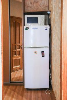 Rent 1k apartment on st. Hospital 2 Rent 1k apartment on st. Hospital 2, Kyiv - apartment by the day