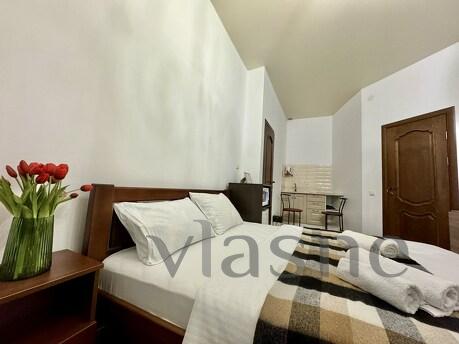 Оренда 1к квартири у центрі Києва Оренда 1к квартири у центрі Києва, Киев - квартира посуточно