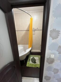 Quiet apartment near the city center Quiet apartment near the city center, Odessa - apartment by the day