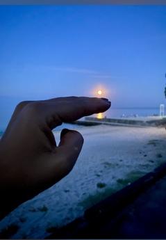 Seaside rentals on Odessa beach at 13 Fountain, Odessa - apartment by the day