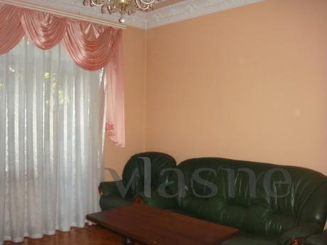 Cozy, comfortable lounge, a large studio apartment, all amen