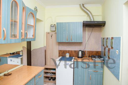 Cozy, one-bedroom apartment for rent., Lviv - apartment by the day