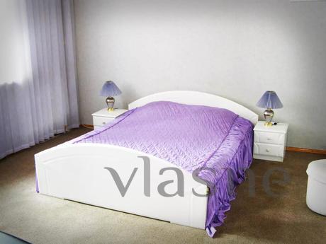 One bedroom apartment Pushkinskaya 54