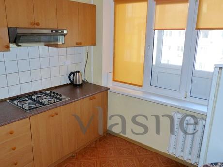 Cozy apartment near the metro station, Kyiv - apartment by the day
