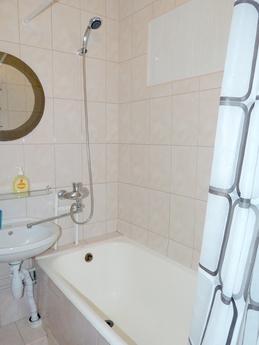 Cozy apartment near the metro station, Kyiv - apartment by the day