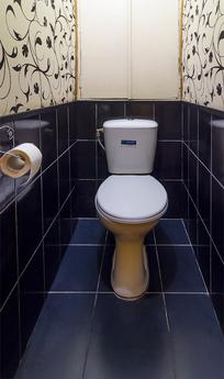 Cozy apartment Metro Palace Ukraine, Kyiv - apartment by the day