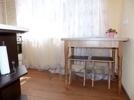 One room apartment Lybidska metro statio, Kyiv - apartment by the day