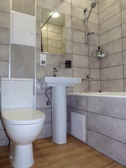 New Repair Bus Station Demeevskaya, Kyiv - apartment by the day